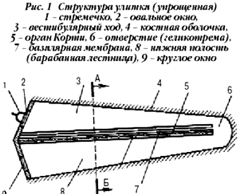 view_001 _ru (1)