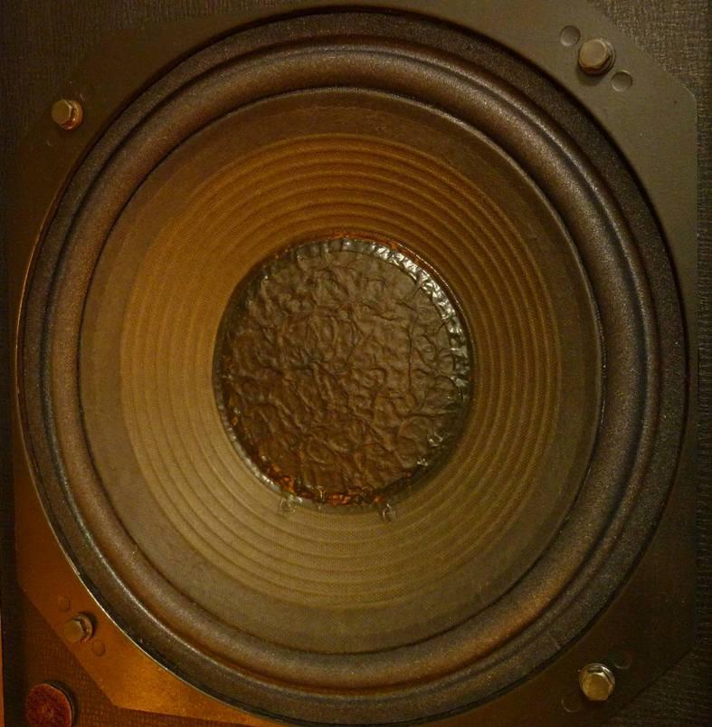 Diatone DS-301 Diatone DS-301