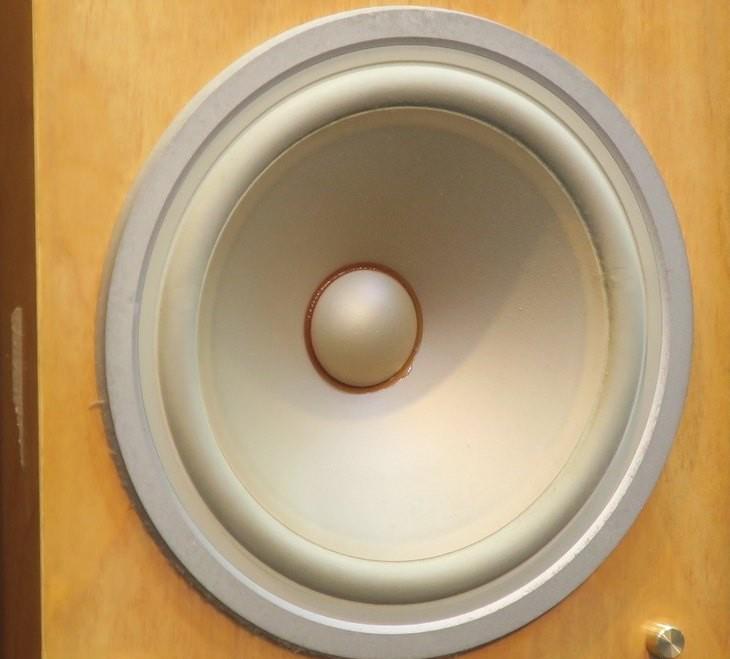 Yamaha NS-1