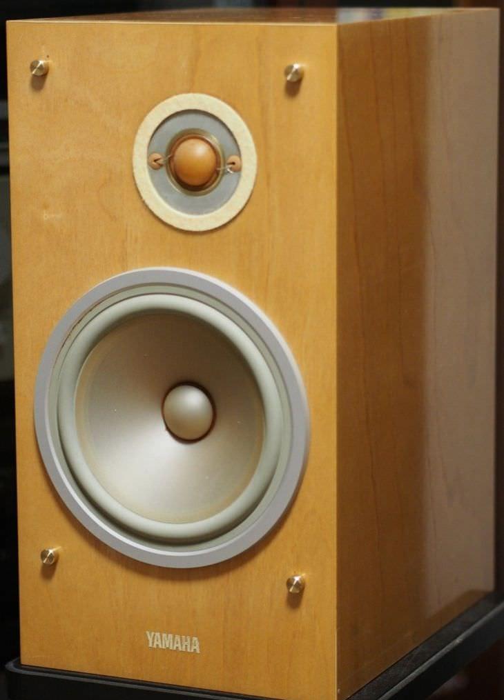 Yamaha NS-1