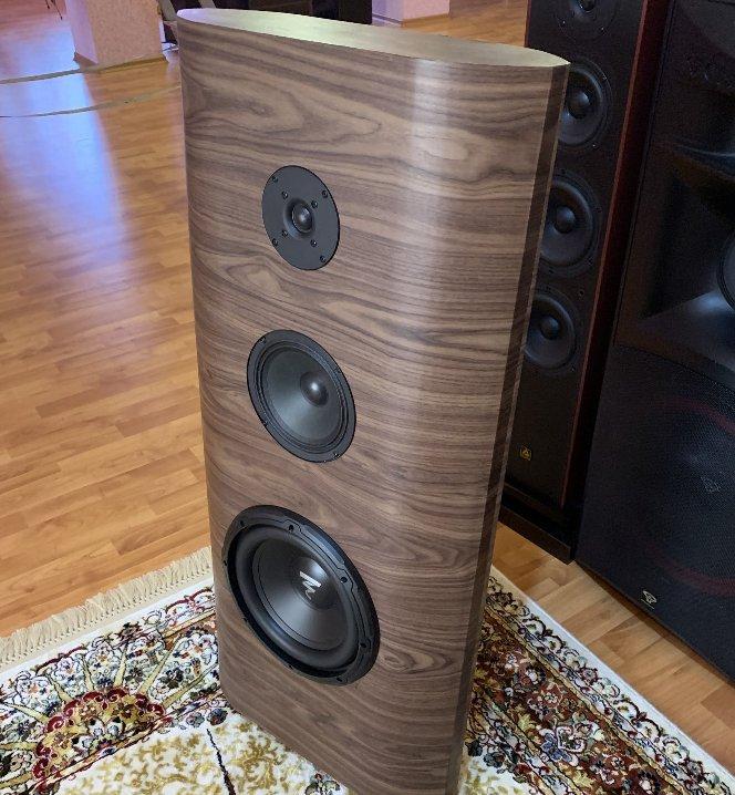 3-х полосная АС (Focal RSB-250 +Teac TE-M65 + HIFI DIY) 3-х полосная АС (Focal RSB-250 +Teac TE-M65 + HIFI DIY)