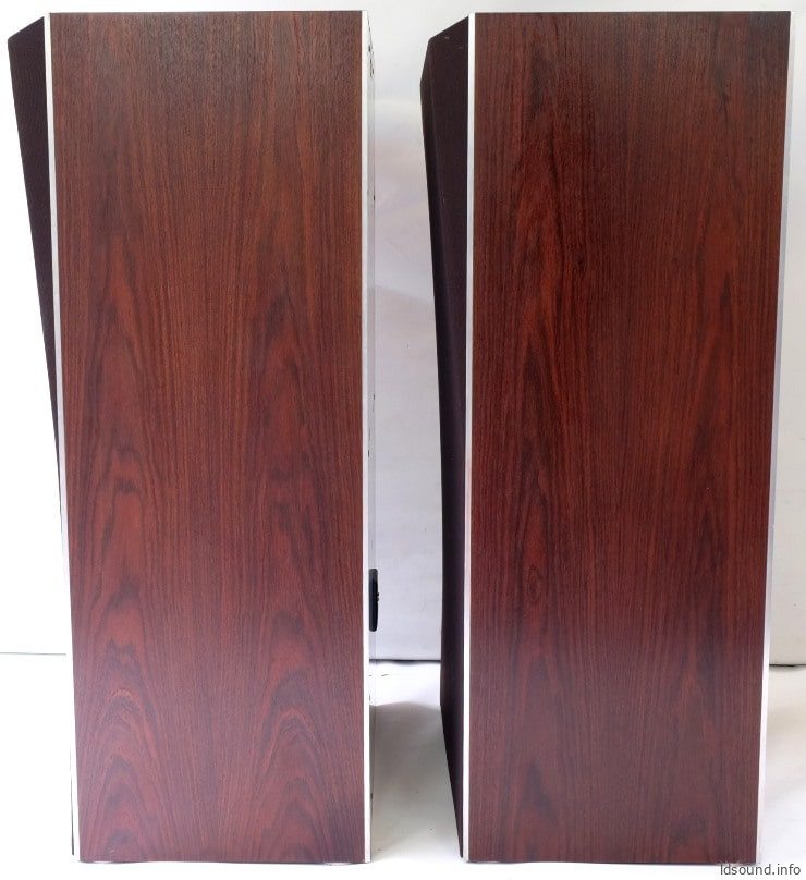 B&O Beovox M100