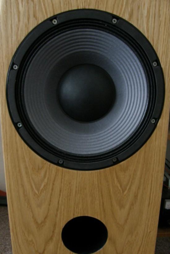 polS-004 (10)