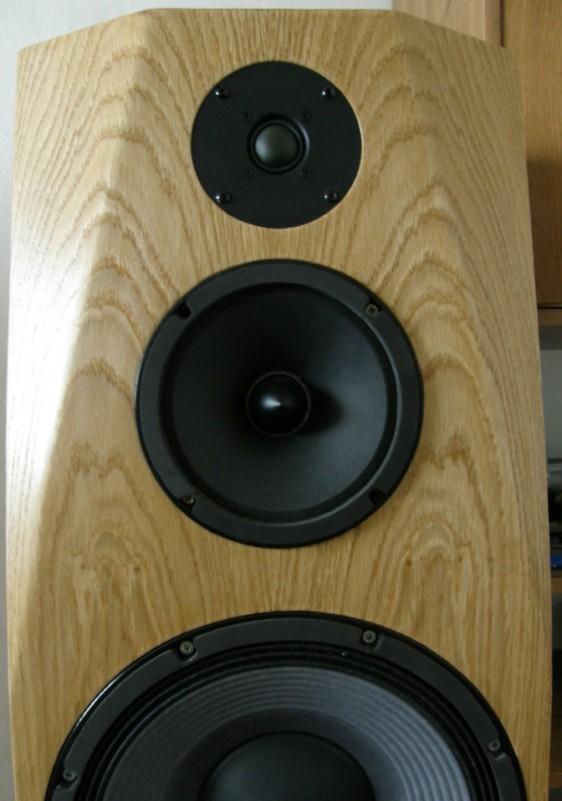 polS-004 (9)