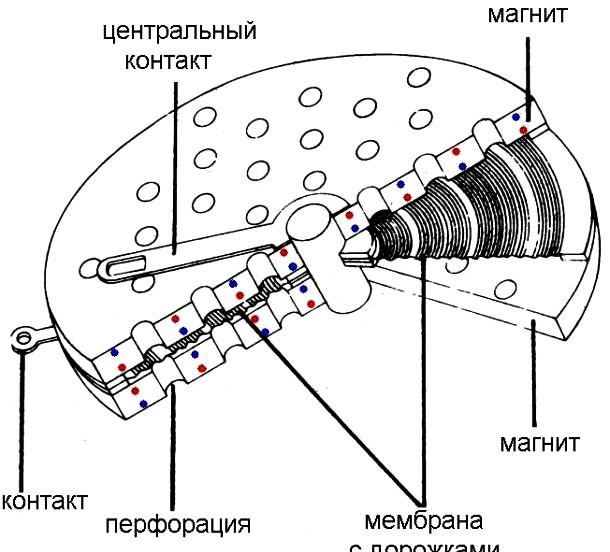 ортодинам наушники (7)