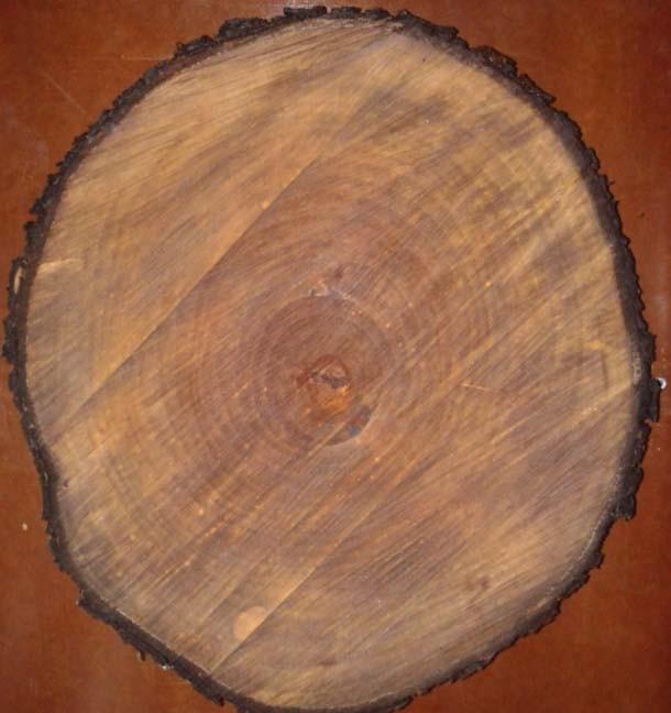 wood_001  (1)