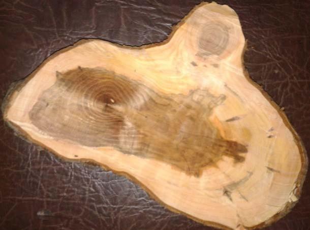 wood_001  (11)
