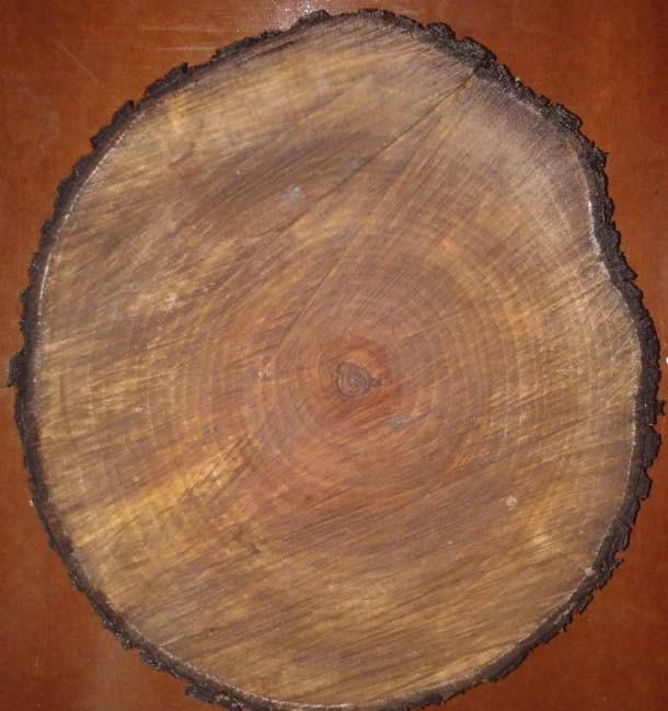 wood_001  (2)