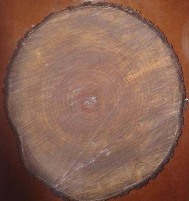 wood_001  (7)