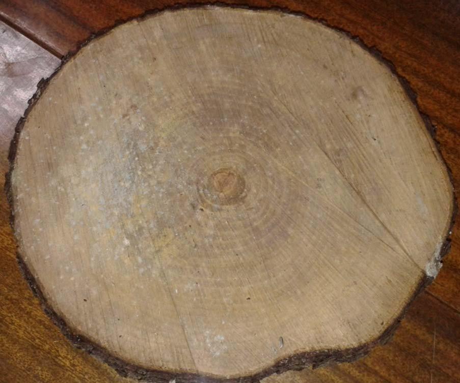 wood_002   (4)