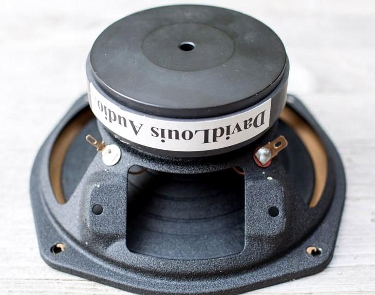 Diatone P610
